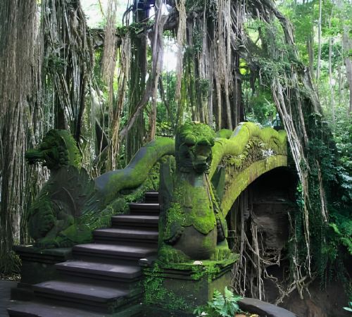 A moss-covered stone staircase and ancient bridge surrounded by hanging jungle vines near Blanc Smith Hotel in Siem Reap.