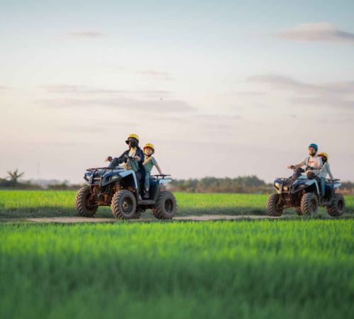 Tourists riding quad bikes along a path through vibrant green rice fields near Blanc Smith Hotel in Siem Reap.